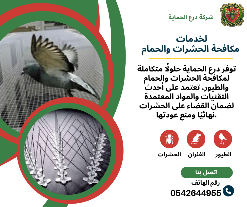 شركة مكافحة الحمام في عجمان