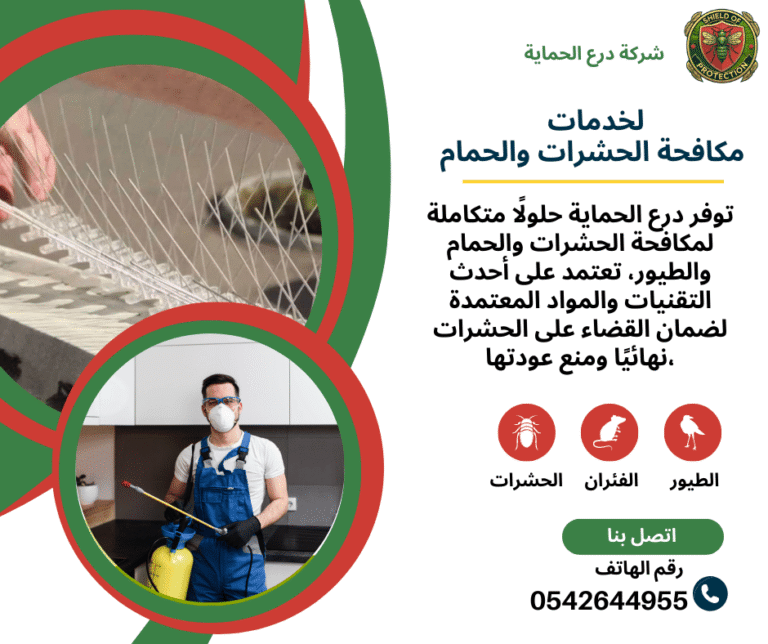 شركة مكافحة الحمام في عجمان
