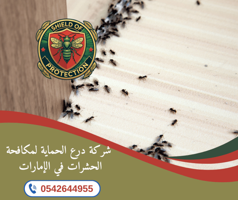 شركة مكافحة الصرصير في عجمان