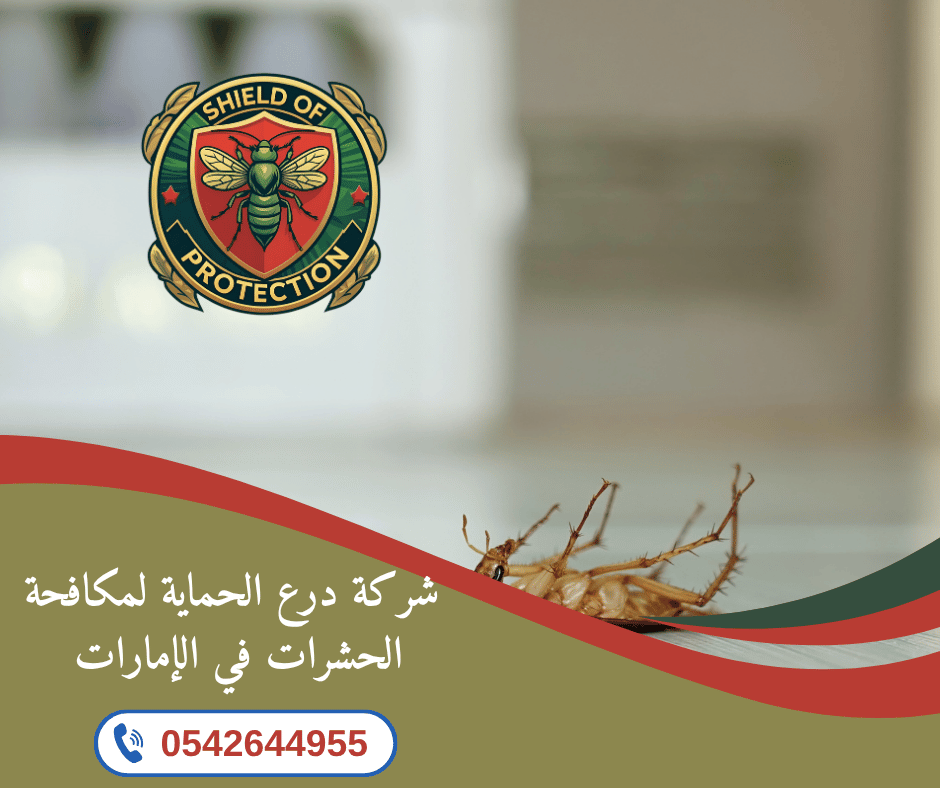 شركة مكافحة الحشرات في أم القيوين