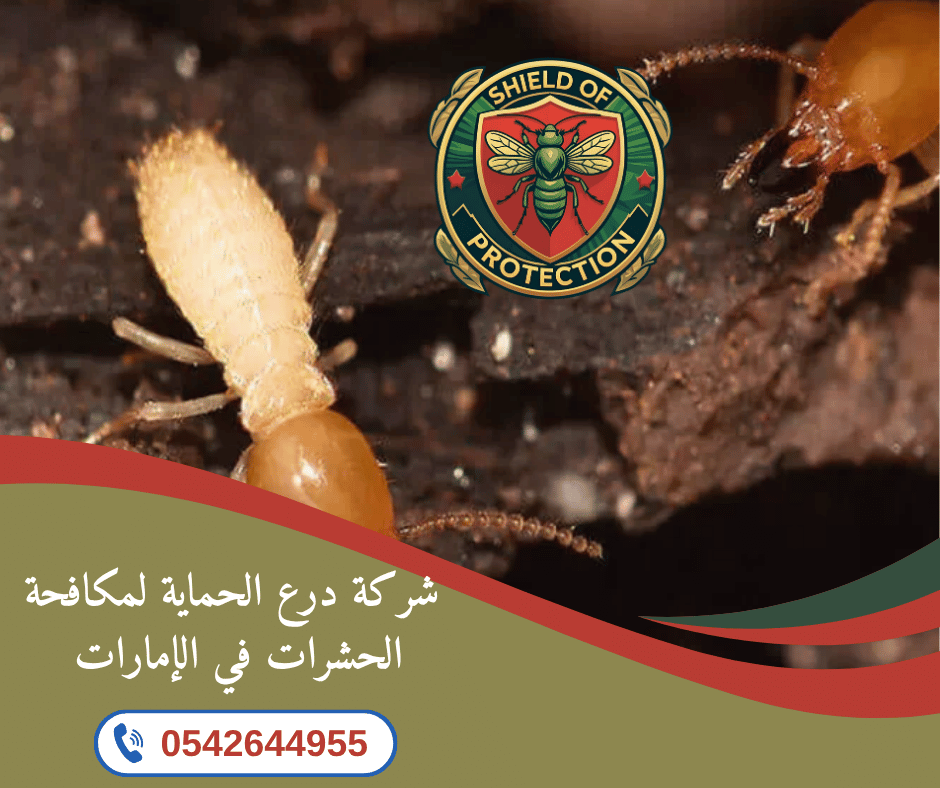 شركة مكافحة الحشرات في أم القيوين
