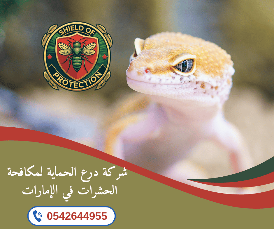شركة مكافحة الوزغ في أم القيوين